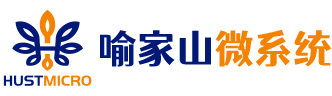 武汉喻家山微系统有限公司